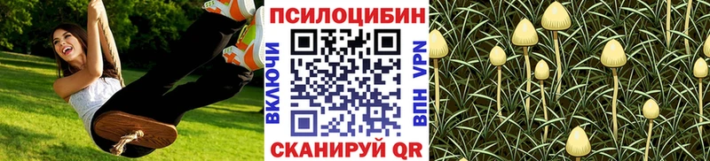 Псилоцибиновые грибы MAGIC MUSHROOMS  купить наркоту  Сим 